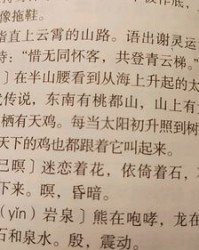 照的组词有哪些(照的组词是什么啊)