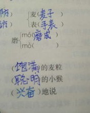 小度磨耳朵耳怎么组词