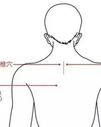 小度颈部的颈怎么组词