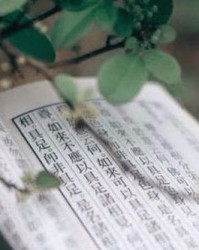 骆驼陀螺怎么组词