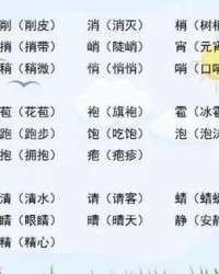 梢换偏旁组词(梢换偏旁组词语)
