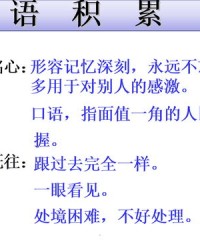 用别组词(用别组词造句子一年级)