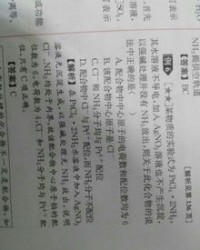 重荷的荷还能怎么组词