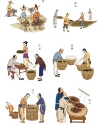 茶怎么组词