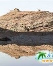 高岛的岛怎么组词