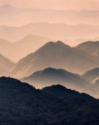 壮可以怎么组词
