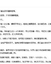 喂饱的喂该怎么组词