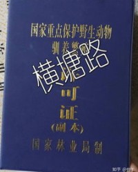 繁殖的繁怎么组词
