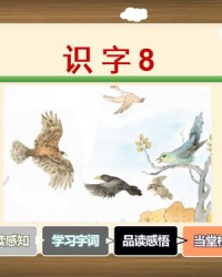 隹加偏旁再组词(隹加偏旁再组词什么河)