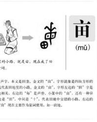 迈字怎么组词和部首