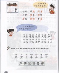 用真相怎么组词