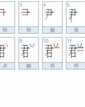 群怎么组词