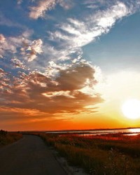 夕阳的的夕怎么组词