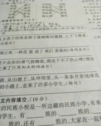 绒毛该怎么组词