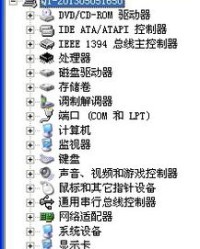 大虾可以怎么组词