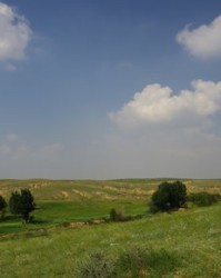 草原组词(草原组词六年级上册语文)