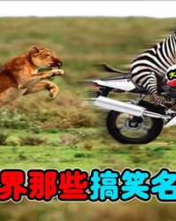 凶恶的凶可以怎么组词