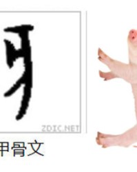 蛇换偏旁组词(蛇换偏旁组词)