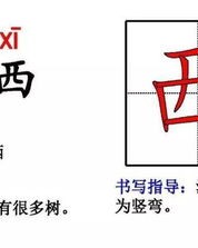 动画的怎么组词