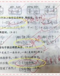 连加偏旁组词(分+偏旁组词)