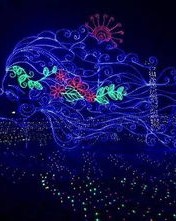 彩灯怎么组词