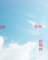 木组词造句(木组词造句一年级简单)