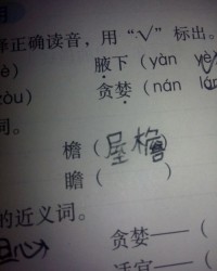 啮组词