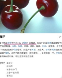 樱桃樱怎么组词