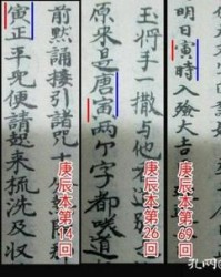 戕组词(茂组词)