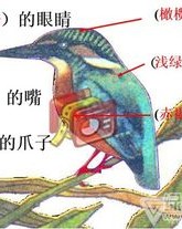 苇秆的秆怎么组词