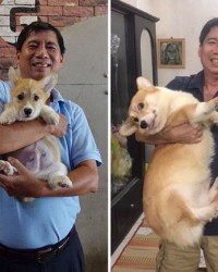 什么狗组词(什么狗组词两个字)