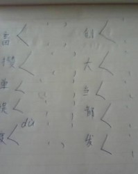 丽字加拼音怎么加组词