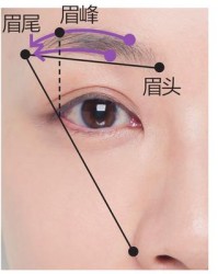 眉的组词