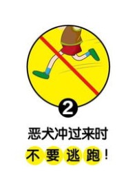 扭头就走的牛怎么组词