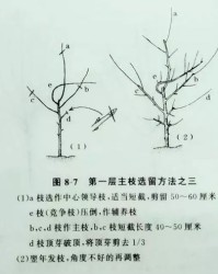 结果的结怎么组词