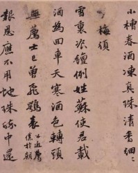 苏轼的词怎么组词呀