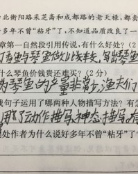 反正的反怎么写组词
