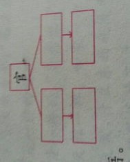 分数的分加偏旁怎么组词