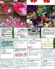 大小的小组词怎么读