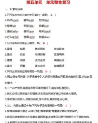 站度站怎么组词
