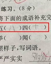 夜的植怎么组词
