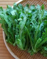 茼蒿的茼怎么组词呀