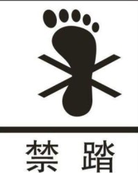止的组词