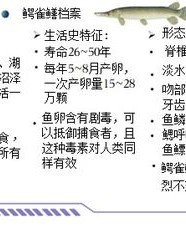 动物的动么怎么组词