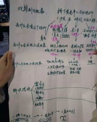 荒岛荒怎么组词