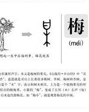 梅怎么组词儿