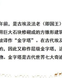 单纯的塔怎么组词