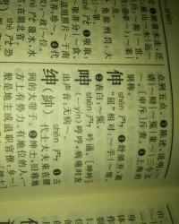 潼在字典多少页怎么组词