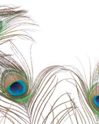 泙组词(浃组词)