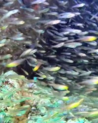 壮观组词(壮观组词一年级下册)